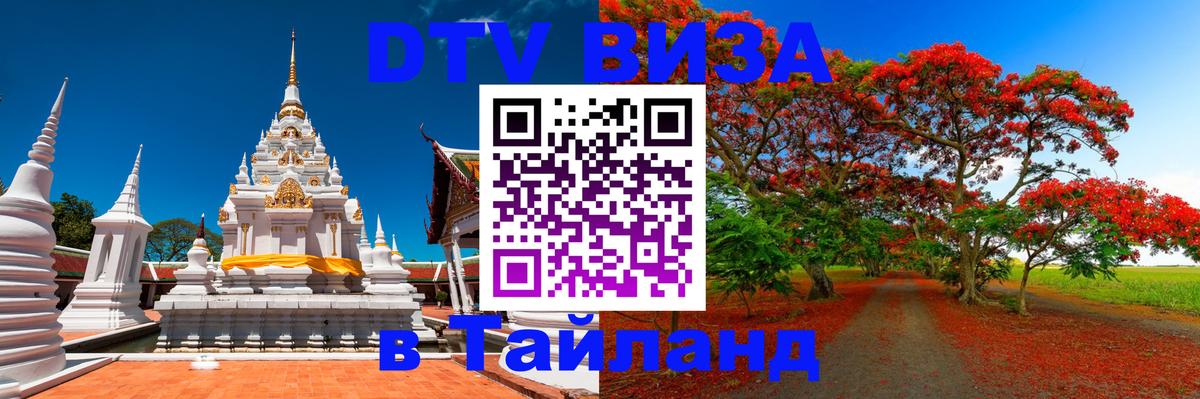 Оформление DTV визы под ключ: стоимость и тарифы, только загранпаспорт - Батайск  19.11.2025 